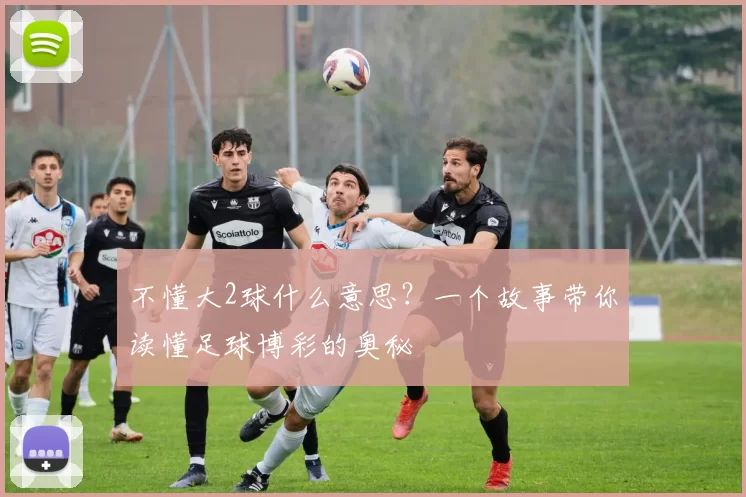 不懂大2球什么意思？一个故事带你读懂足球博彩的奥秘