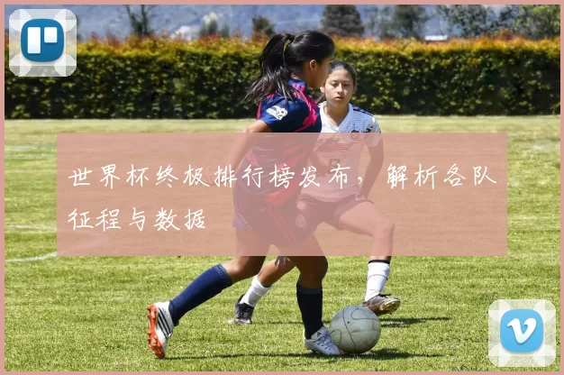 世界杯终极排行榜发布,解析各队征程与数据