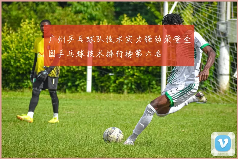广州乒乓球队技术实力强劲荣登全国乒乓球技术排行榜第六名