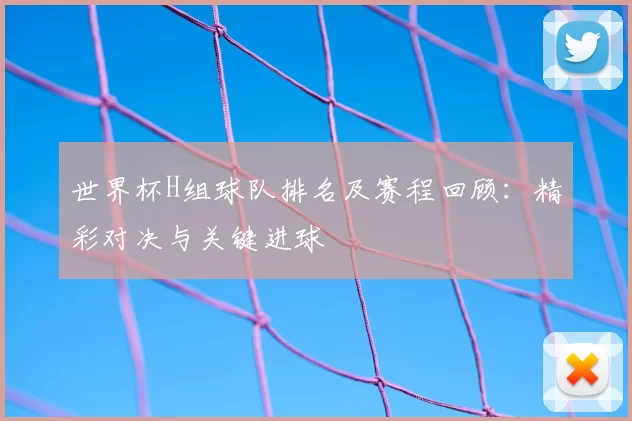世界杯H组球队排名及赛程回顾：精彩对决与关键进球