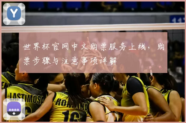 世界杯官网中文购票服务上线，购票步骤与注意事项详解