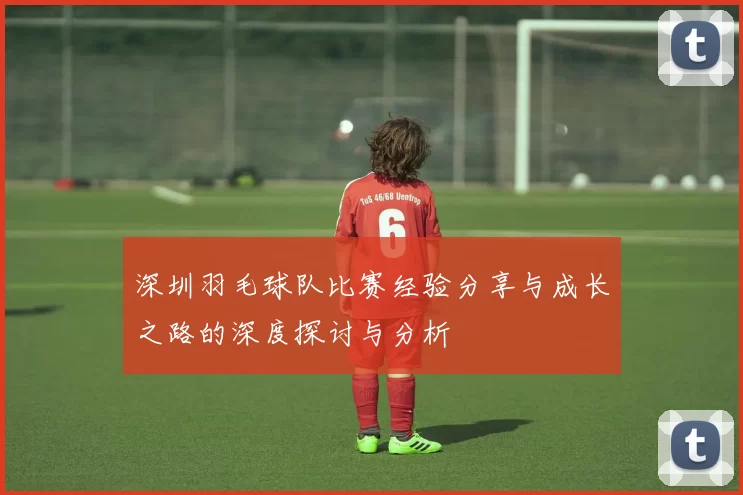 深圳羽毛球队比赛经验分享与成长之路的深度探讨与分析