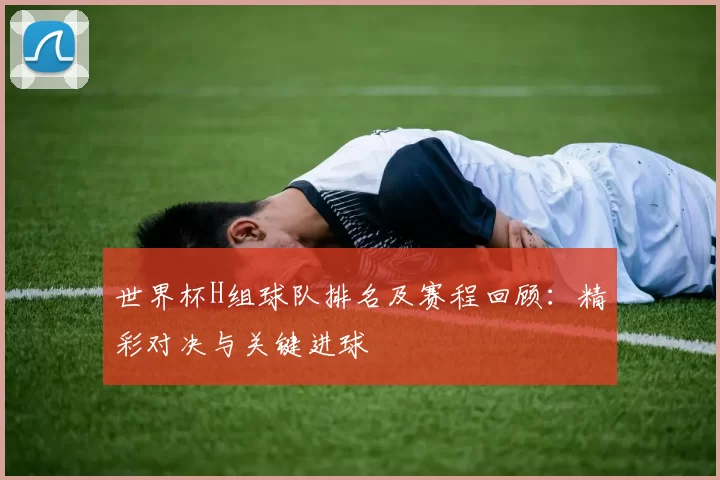 世界杯H组球队排名及赛程回顾：精彩对决与关键进球