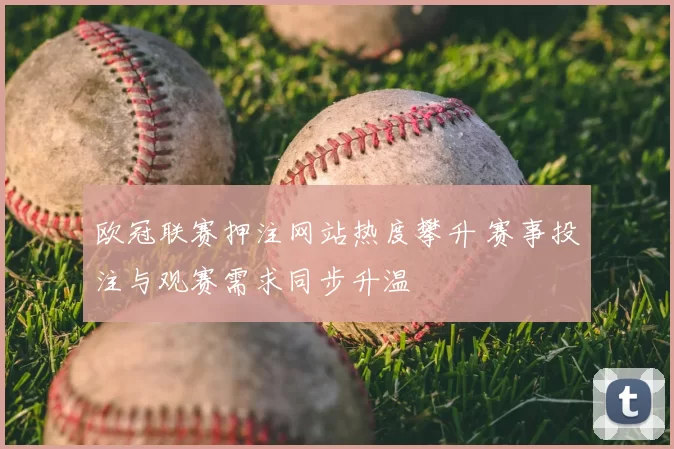 欧冠联赛押注网站热度攀升 赛事投注与观赛需求同步升温