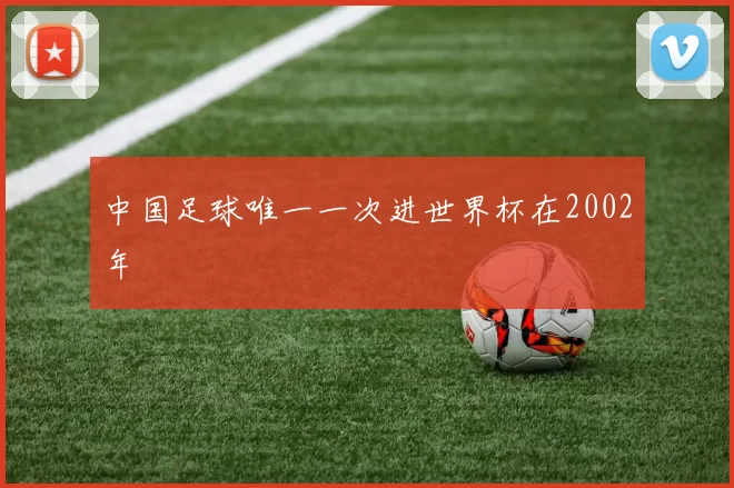 中国足球唯一一次进世界杯在2002年