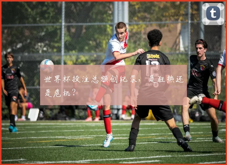 世界杯投注总额创纪录，是狂热还是危机？