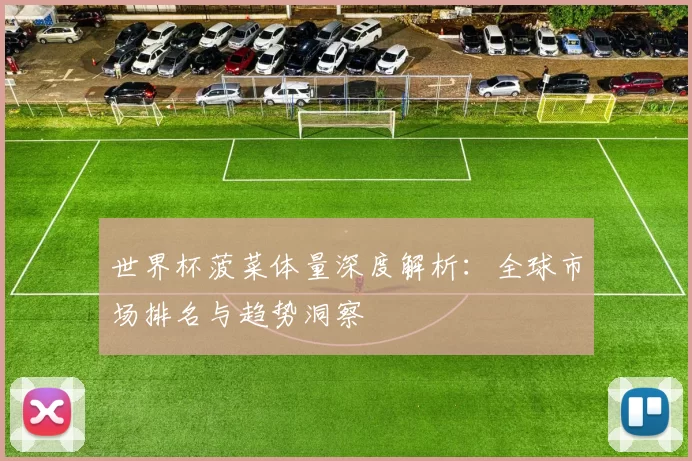 世界杯菠菜体量深度解析：全球市场排名与趋势洞察
