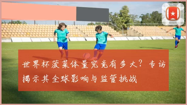 世界杯菠菜体量究竟有多大?专访揭示其全球影响与监管挑战
