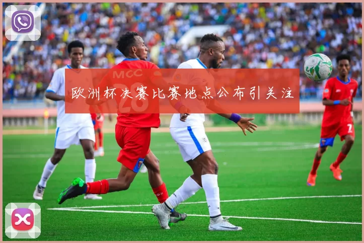 欧洲杯决赛比赛地点公布引关注