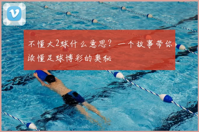 不懂大2球什么意思？一个故事带你读懂足球博彩的奥秘