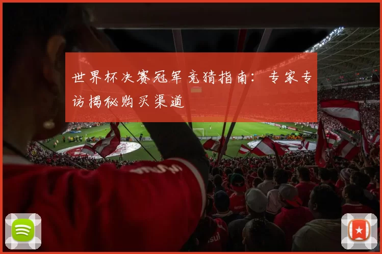 世界杯决赛冠军竞猜指南:专家专访揭秘购买渠道