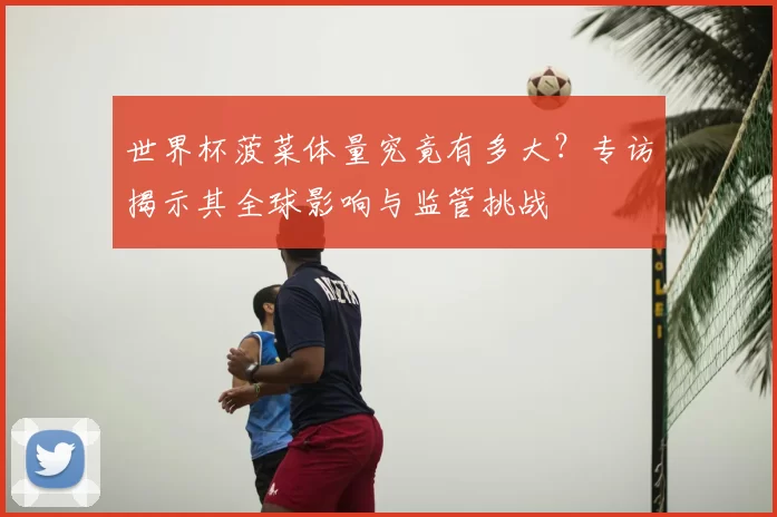 世界杯菠菜体量究竟有多大？专访揭示其全球影响与监管挑战