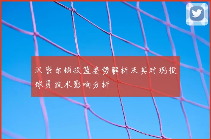 汉密尔顿投篮姿势解析及其对现役球员技术影响分析
