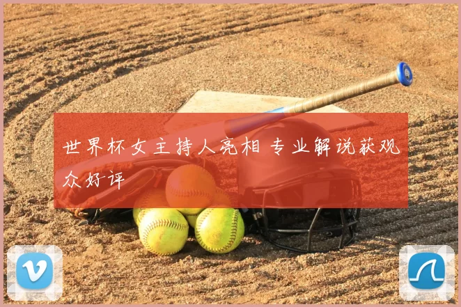 世界杯女主持人亮相 专业解说获观众好评
