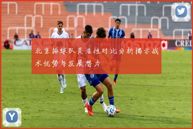 北京排球队灵活性对比分析揭示战术优势与发展潜力