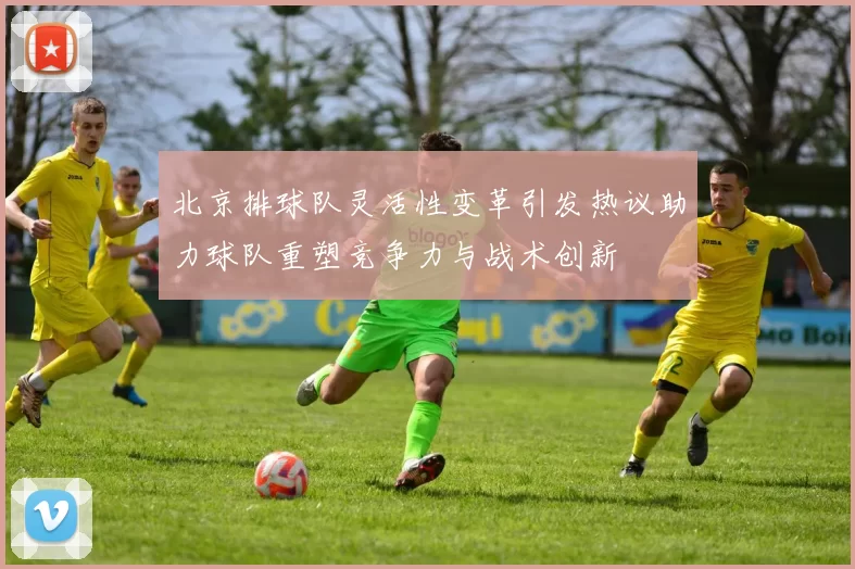 北京排球队灵活性变革引发热议助力球队重塑竞争力与战术创新