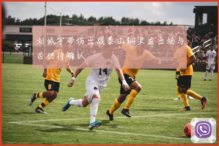 刘诚宇带伤出战泰山铜梁龙出场与否仍待确认