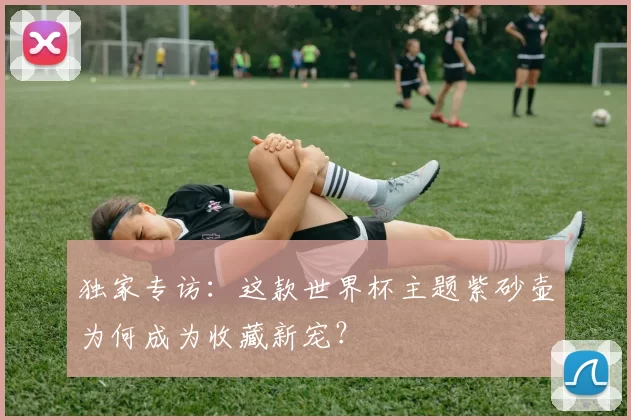 独家专访:这款世界杯主题紫砂壶为何成为收藏新宠?