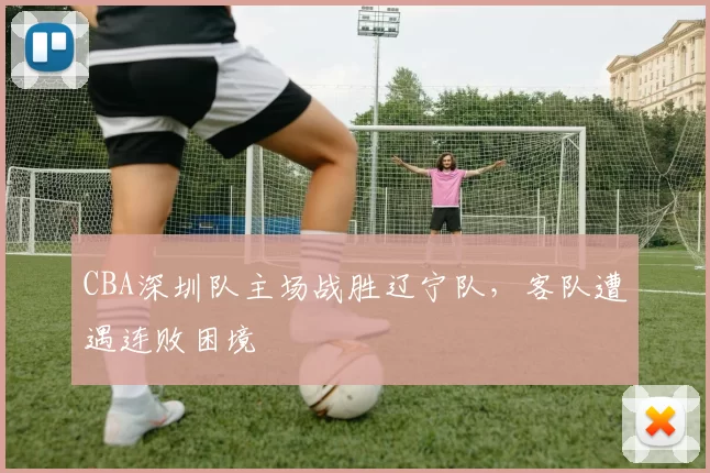 CBA深圳队主场战胜辽宁队，客队遭遇连败困境
